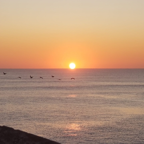 Meet your Posher, Andra - Picture 1 of 1